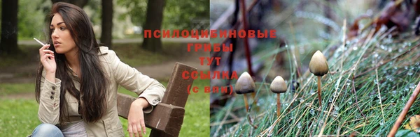 бутират Верхний Тагил