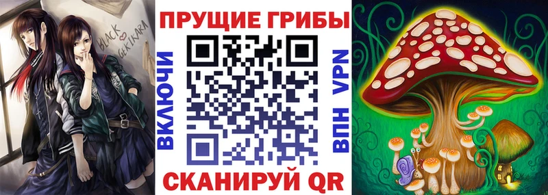 Псилоцибиновые грибы ЛСД Дмитровск